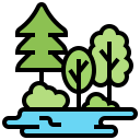 nature- trees and water